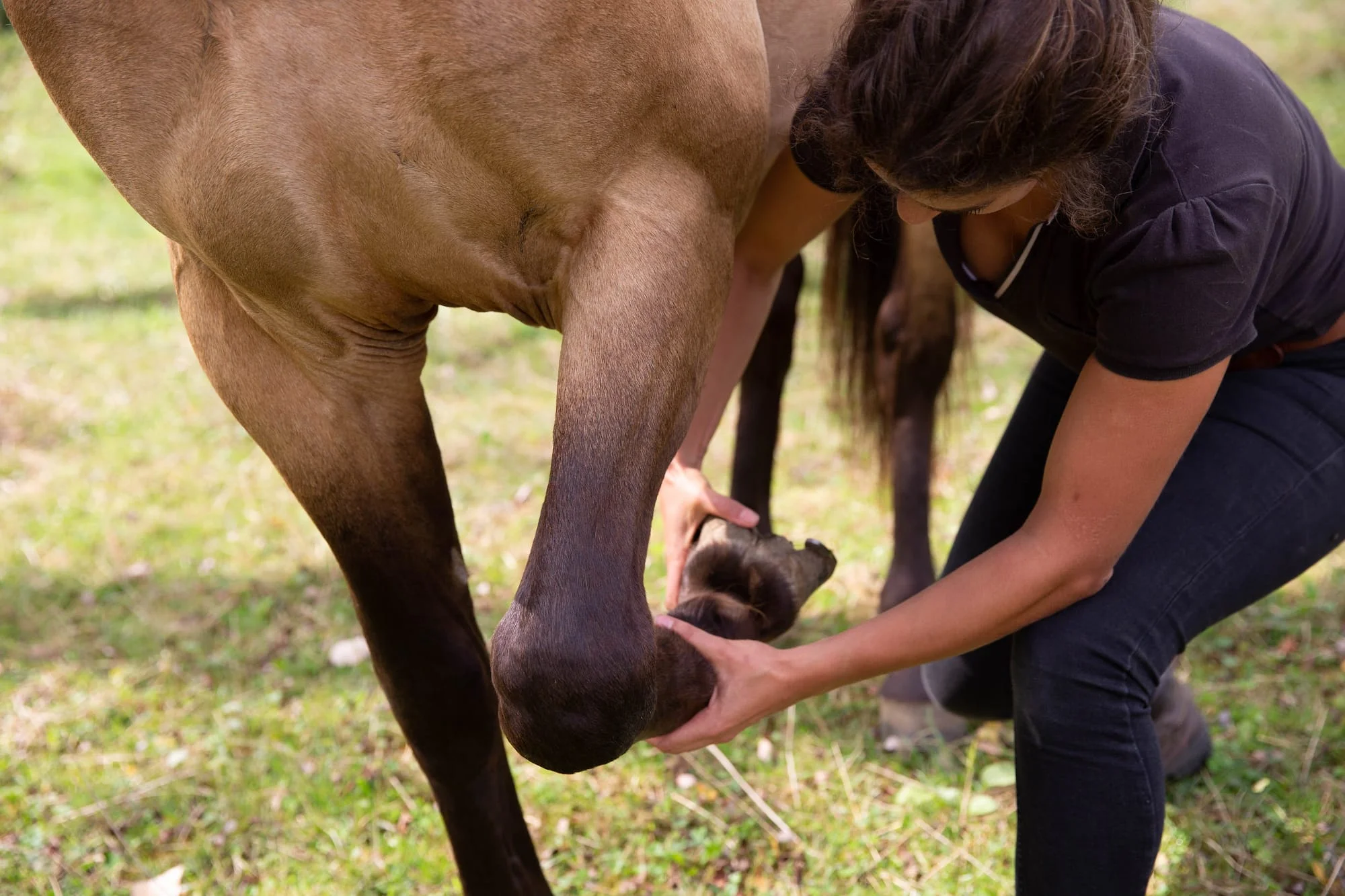 Découvrir l'ostéopathie