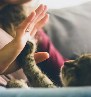 À domicile : une prise en charge tout en sérénité