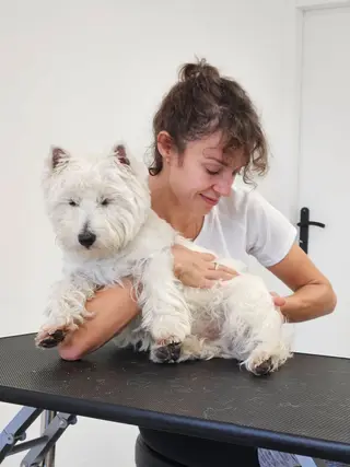Le cabinet : un espace pensé pour le bien-être de vos animaux